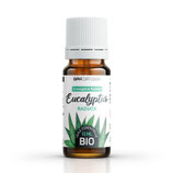 EUCALYPTUS RADIATA  10ml