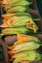 Fleurs de courgettes (6)