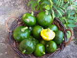 Courgettes rondes (1kg)