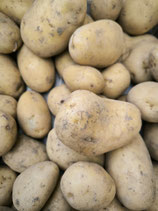 Pomme de terre nouvelle (1kg)