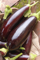 Aubergines (750g)