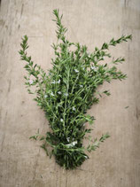 fines herbes Sarriette