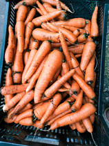 Carottes (1kg)