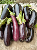 Aubergines (500g)