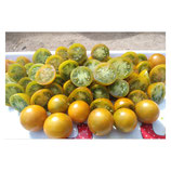 Plant- (26) Tomate cerise Vert jaune Caramel