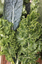 Chou Kale (200g)