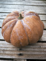 Courge Mini Musquée