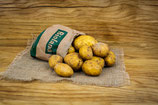 Kartoffeln mehligkochend