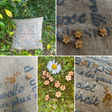 PRINTEMPS DOUX
