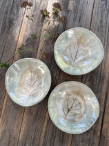Schalen Leaf