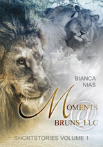 Moments@Bruns_LLC (Shortstories Volume 1)