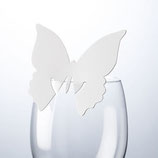 Glashalter Schmetterling