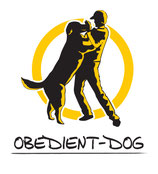 Social Walk in Burglengenfeld