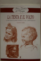La testa e il volto