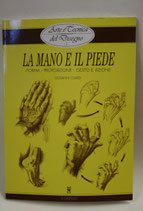 La mano e il piede