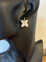 Blume, Weiss