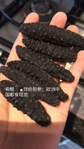 特价刺参， 希腊包包刺。头数显示都是一公斤的大概个数