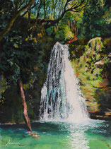 Geheimnisvoller Wasserfall