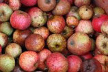 Vinaigre de Cidre  25cl