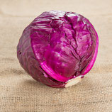 Rotkohl Stk