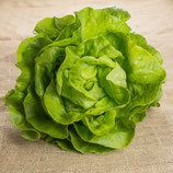Kopfsalat Stk