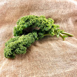 Federkohl grün 200g