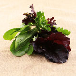 Schnittsalat per 100g