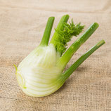 Fenchel Stk