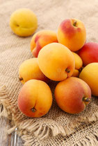 Aprikosen 1kg