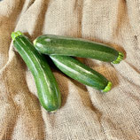 Zucchetti grün Stk