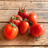 Nasch Tomaten 1kg