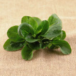 Nüsslisalat per 100g