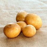 Jelly Kartoffeln 1kg