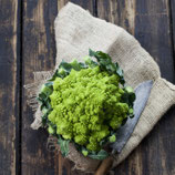 Romanesco Stk