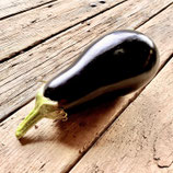Aubergine Stk