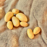 Kartoffel Racelette Kg