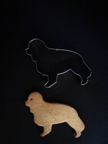 Ausstechform Cavalier/Berner Sennenhund
