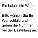 Wechselmotiv für Aquariumrückwand 120 cm x 50 cm