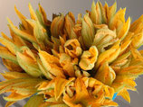 FIORI DI ZUCCA FRESCO