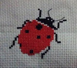 Coccinelle