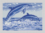 Dauphins