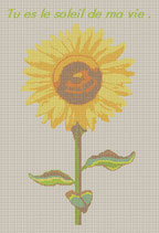 Tournesol