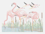 Flamants roses