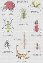 Insectes au Logis