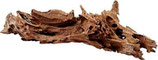 Mangrovenholz M 25 - 35 cm