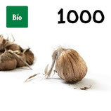 1000 bolbos bio calibre 10-11