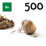 500 bolbos bio calibre 10-11