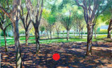 JARDIN DEL TURIA - EXPOSICIÓN
