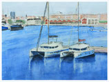 Catamaranes en el puerto de Valencia