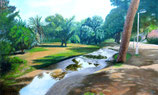 JARDIN DEL TURIA - CHARCO EN LA PECHINA